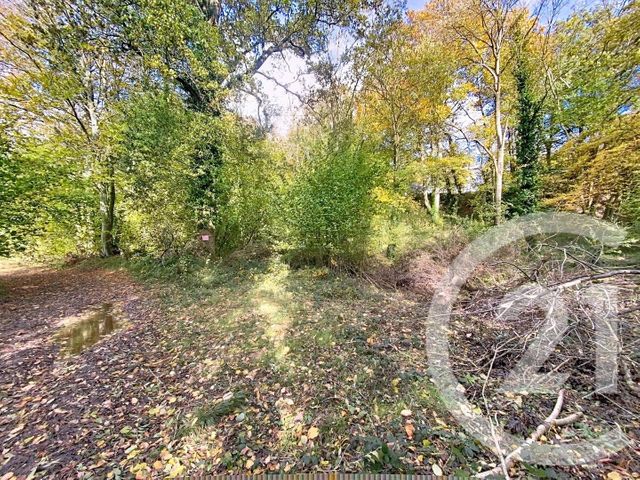 Afficher la photo en grand terrain à vendre - 3125.0 m2 - RENNEVILLE - 27 - HAUTE-NORMANDIE - Century 21 Harmony